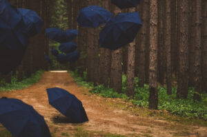 umbrella invasion