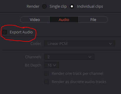 no audio export for slow motion footage